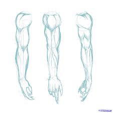 There are three video tutorials in this post, you can choose them from the labelled buttons below the video. How To Draw Muscles Step By Step Anatomy People Free Online Human Drawing Male Figure Drawing Figure Drawing Reference