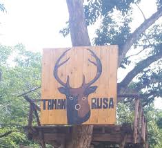 Check spelling or type a new query. Wisata Taman Rusa Dan Kelinci Di Kota Batam Halaman 1 Kompasiana Com