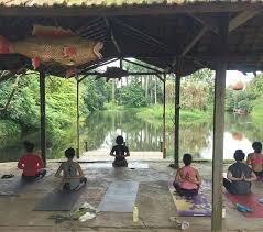 Pengunjung yang mendaki tentunya akan dihadapkan pada rimbun dan asrinya pedalaman hutan papua di pegunungan jayawiyaya ini, jadi bukan hanya hutan tetapi juga padang es. Wisata Edukasi Di Tangerang Yang Menarik Untuk Dinikmati Keluarga