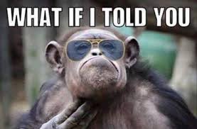 Collection by di • last updated 11 hours ago. Funny Animals Pictures Archives Topbestpics Com