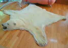 Looking for a good deal on bear rug? Homepage Animalskinsandtusks