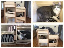 Diy cat tree with litter box. Cat Tree Using Crates From Michaels With A 40 Off Coupon 2x4s And An Upcycled Rug Inside The Crates Is Wa Arranhador Prateleiras Para Gatos Sala Para Gatos