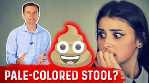 Image result for acholic stools human