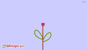 We did not find results for: Animated Blooming Flowers Gif Images Pictures