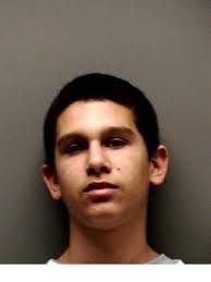 Two arrested for damaging little league field