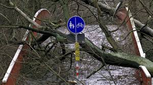 Einmal mehr haben in niederösterreich am sonntagabend unwetter für massive schäden und eine vielzahl von feuerwehreinsätzen gesorgt. News Von Heute Sturm In Osterreich Kinder Von Baumen Getroffen Stern De