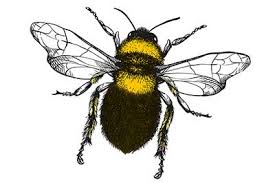 ︎ 71 estate row, stafford, va 22554. Moxie Pest Control Chantilly 168 Reviews Exterminators Near Me Washington Consumers Checkbook