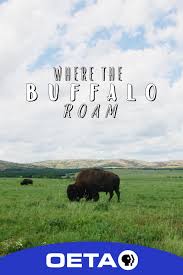 Where the Buffalo Roam | PBS