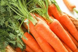 Image result for Daucus carota