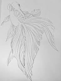Check spelling or type a new query. Outline Of Betta Fish Not Mine Goldfish Art Fish Drawings Fish Art