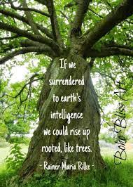 Pin On Stuff We Really Should Be Talking About