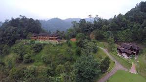 Puncak rimba offers luxurious picnics for the city slicker. Puncak Rimba Home Facebook