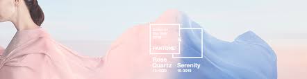 Every year the pantone color institute evaluates the colors shown by fashion designers at the new york fashion week. Pantone Color Of The Year 2016 Rachel Rossi