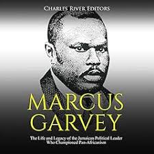 Any Means Necessary: The Life and Legacy of Malcolm X Audiobook by Charles  River Editors