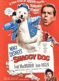 Black dog movie is a member of vimeo, the home for high quality videos and the people who love them. The Shaggy Dog 1959 Film Wikipedia