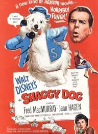 This movie is often overlooked by many disney fans, but its got some great moments, plus rhino is super cute. The Shaggy Dog 1959 Film Wikipedia