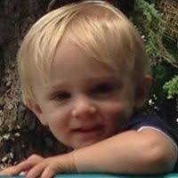 Michelle Timko Landis (pghdogtrainer)