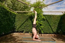 The year 2020 has been an eventful year for most, for me it became a blessing in disguise. Comp Pincha Mayurasana For International Yoga Day Yoga