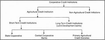 cooperative banking in india history structure importance