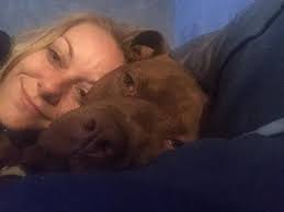 Pickle-Corn Dogs. 🥒👨‍🍳💚