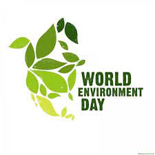 Lovepik provides 180000+ environment day photos in hd resolution that updates everyday, you can free download for both personal and commerical use. World Environment Day Papua New Guinea Home Facebook