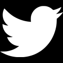Mcclure wrote a clever tweet about it, and game writer christine love replied with a fix: White Twitter Icon Free White Social Icons