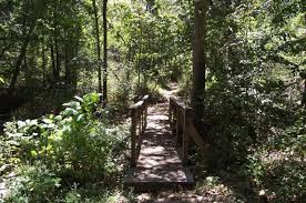 hobbs: sinking stream trail .5 mi