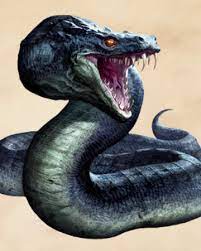 Basilisk Harry Potter Wiki Fandom Harry Potter Beasts Harry Potter Creatures Fantastic Beasts Creatures