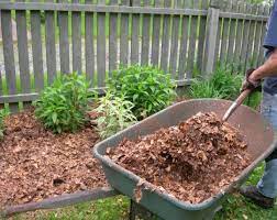 This fertilizer options will help to homemade fertilizer for tulsi. 6 Useful Ways To Use Dried Up Fall Leaves Better Housekeeper
