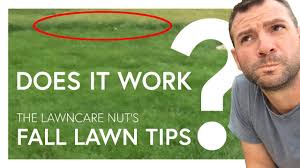 After paying a professional lawn service to repair my lawn in fall 2016, i continued their services in 2017 with an annual lawn care program costing me over $1,100. Lawn Care Nut Fall Lawn Care Tips Does It Work Youtube