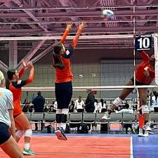 Brooklynn S Harrison