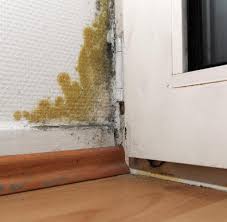 Soll eine wohnung gekündigt werden, ist daher zu unterscheiden, wer kündigt. Wohnung Gekundigt Was Sie Jetzt Tun Mussen Welt