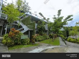 Royal belum is the place to be!we believe in conservation and biodiversity www.belumrainforestresort.com. Belum Rainforest Image Photo Free Trial Bigstock