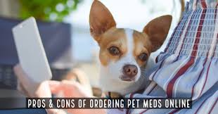Shop allivet, your trusted pet pharmacy, for the lowest prices, guaranteed. Pros And Cons Of Ordering Pet Meds Online