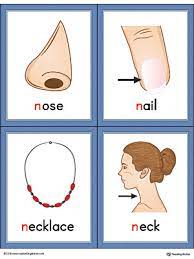 N alphabet words · parrot, pan, pen, pineapple, potato · rat, red, rose, rainbow, robot, rabbit. Letter N Words And Pictures Printable Cards Nose Nail Necklace Neck Color Myteachingstation Com