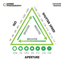 What Is Iso And How To Use It In 4 Simple Steps