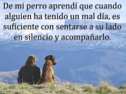 Imagenes De Perritos Tiernos Con Frases Y Mensajes Bonitos Informacion Imagenes