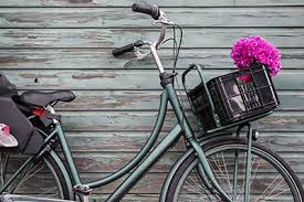 Batavus Diva Ltd Batavus Bicycle Bike Und Motorcycle
