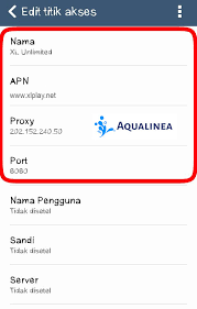 Melakukan setting acces point name atau yang lebih sering disingkat dengan apn merupakan cara yang sering dilakukan agar bisa mendapatkan kecepatan internet yang lebih prima. Maxis 4g Apn Iphone
