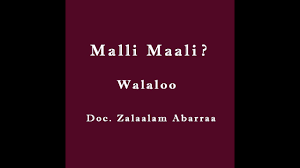 Info loker yayasan gss karawang 2020 / cara melamar lewat yayasan gss global sarana sukses karawang. Download Dr Zalaalam Abarraa Walalo Obbo Abbaa Xadaa Mp4 Mp3 3gp Naijagreenmovies Fzmovies Netnaija