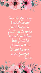 John 15 2 My Absolute Favorite Bible Quote Bible Quotes Jesus Loves You King Jesus