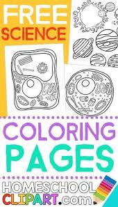 Free Printable Science Coloring Pages Homeschool Giveaways