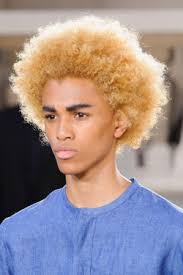 Pilfering Apples — Michael Lockley