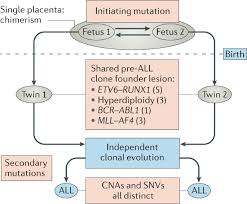 How many kinds of blood cancer exist? A Causal Mechanism For Childhood Acute Lymphoblastic Leukaemia Nature Reviews Cancer
