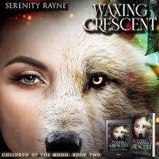 Black sun and shadow moon WIP 😁