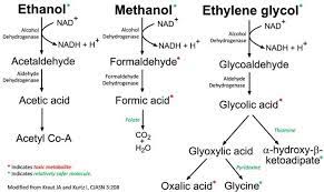 Ethylene Glycol Methanol Poisoning Emcrit Project