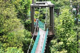 Pelajar smk sungai besar menelusuri. Taman Eco Rimba Hutan Simpan Bukit Nanas Kuala Lumpur Zaza Iman Lifestyle Blogger