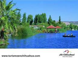 Pin On Chihuahua Mex