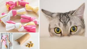 · die bauteileliste und sketchupdatei findet ihr auf der seite. 11 Einfache Katzenspielzeuge Selbst Gemacht Mit Dingen Aus Dem Haushalt Cat News Net