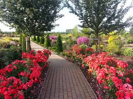 Christiansberg botanischer garten 3 by p.fuchs. Botanischer Garten Christiansberg Parks Und Garten